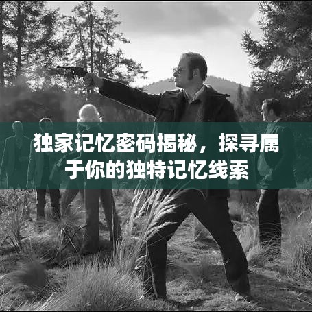 独家记忆密码揭秘，探寻属于你的独特记忆线索