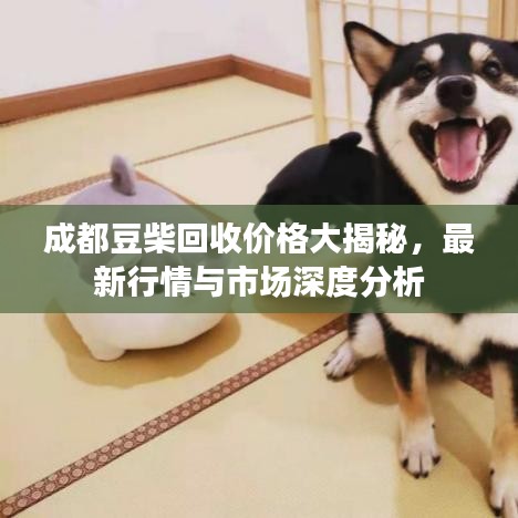成都豆柴回收价格大揭秘，最新行情与市场深度分析