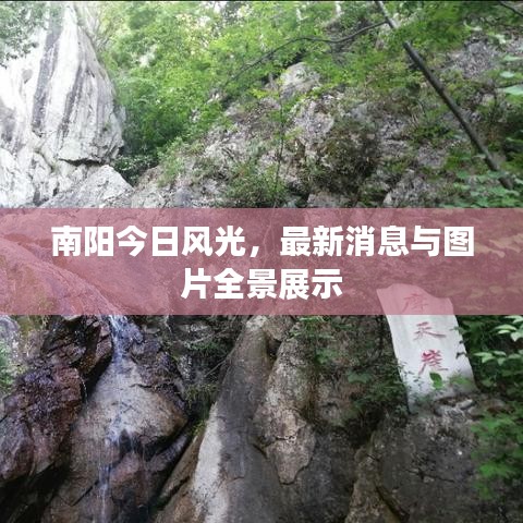 南阳今日风光，最新消息与图片全景展示