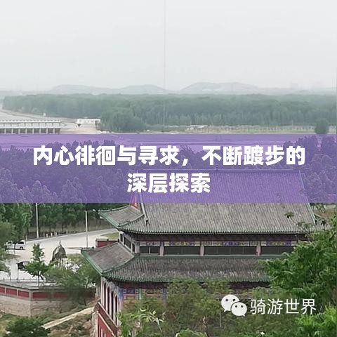 内心徘徊与寻求，不断踱步的深层探索