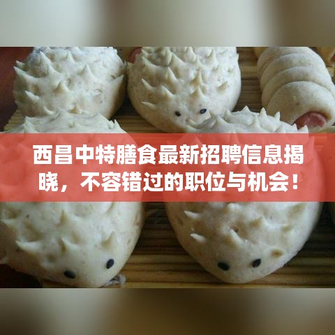 西昌中特膳食最新招聘信息揭晓，不容错过的职位与机会！