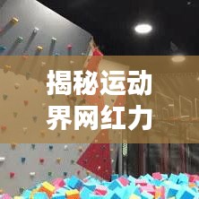 揭秘运动界网红力量，账号排名前十榜单重磅来袭！