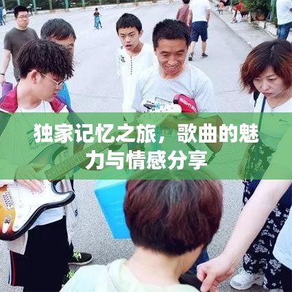 独家记忆之旅，歌曲的魅力与情感分享