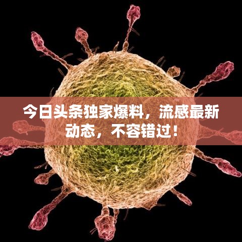 今日头条独家爆料，流感最新动态，不容错过！