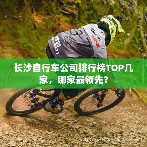 长沙自行车公司排行榜TOP几家，哪家最领先？