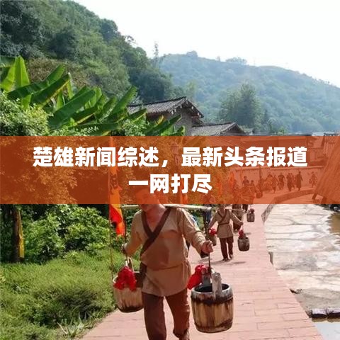 楚雄新闻综述，最新头条报道一网打尽