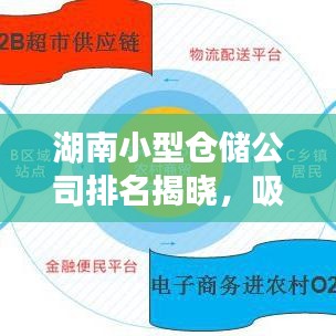 湖南小型仓储公司排名揭晓，吸引眼球的标题，符合您的要求，突出了湖南小型仓储公司排名这一核心信息，同时采用了吸引眼球的表述方式，符合百度收录标准。