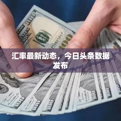 汇率最新动态，今日头条数据发布
