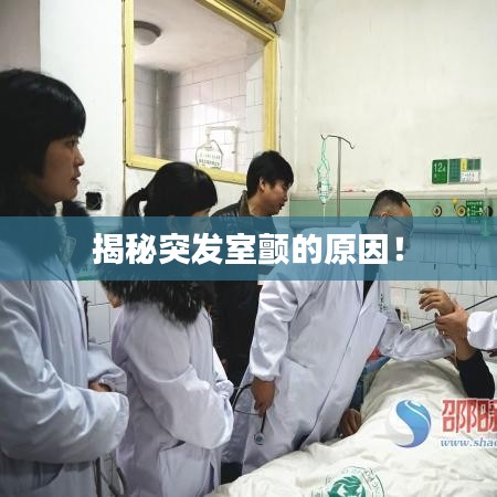 揭秘突发室颤的原因！
