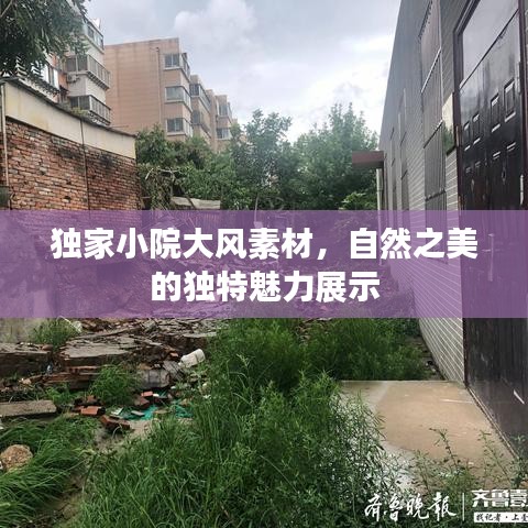 独家小院大风素材，自然之美的独特魅力展示