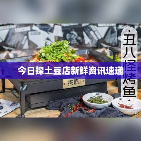 今日探土豆店新鲜资讯速递
