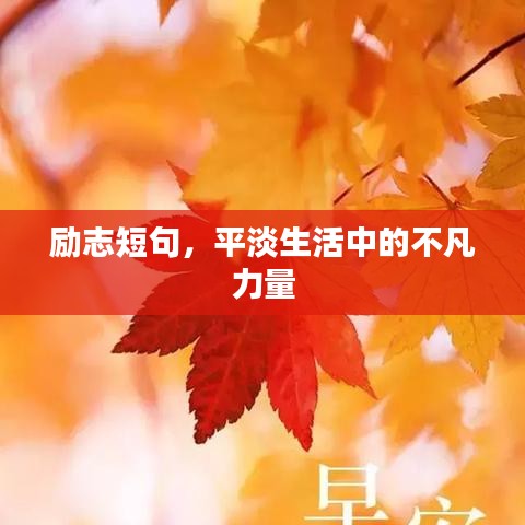 励志短句，平淡生活中的不凡力量
