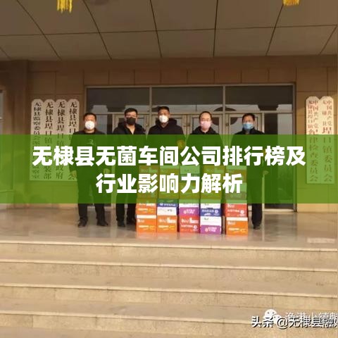无棣县无菌车间公司排行榜及行业影响力解析
