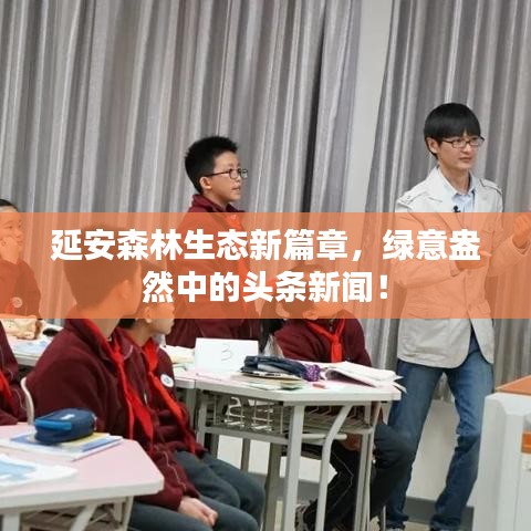 延安森林生态新篇章，绿意盎然中的头条新闻！