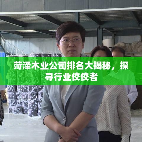 菏泽木业公司排名大揭秘，探寻行业佼佼者