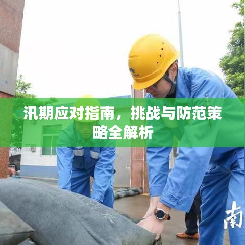 汛期应对指南，挑战与防范策略全解析
