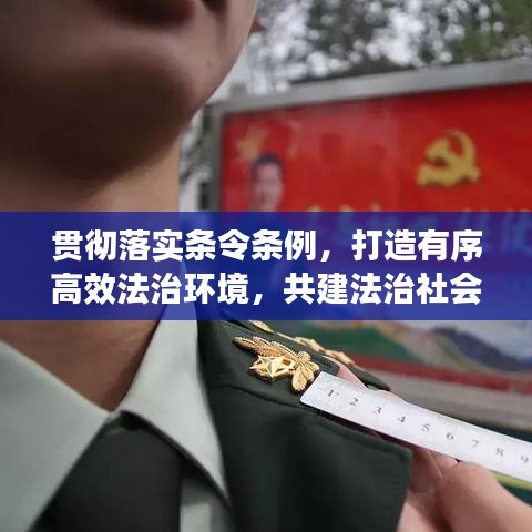 贯彻落实条令条例，打造有序高效法治环境，共建法治社会新篇章