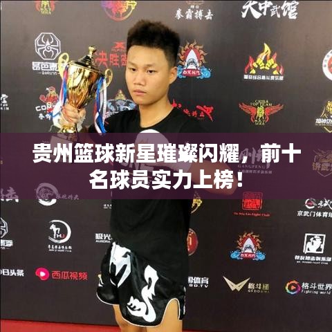 贵州篮球新星璀璨闪耀，前十名球员实力上榜！
