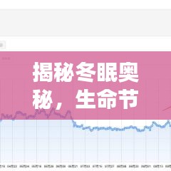 揭秘冬眠奥秘，生命节奏中的神秘力量