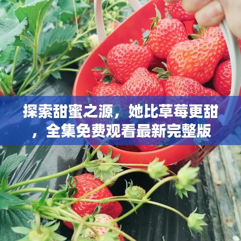 探索甜蜜之源，她比草莓更甜，全集免费观看最新完整版