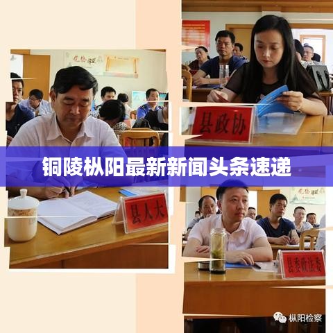 铜陵枞阳最新新闻头条速递