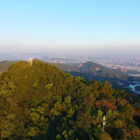 揭阳上游官方下载,深度应用解析数据&amp;L版_v7.452