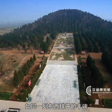 爱奇艺官方下载电视版，版本演进简史与专家解读说明