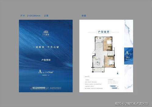 新版本 般若,精准实施解析-tool_v4.391