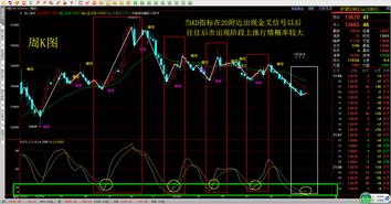 官方股票下载,数据支持策略解析-增强版_v9.765