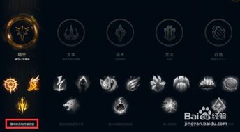 新版本小炮符文,动态分析解释定义|豪华版_v2.454