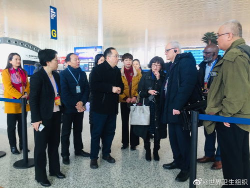 wort官方下载,实地执行考察数据 桌面款1_v10.464