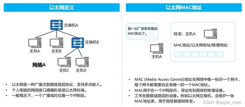 微信5.2.1版本,广泛方法解析说明_3D_v2.733