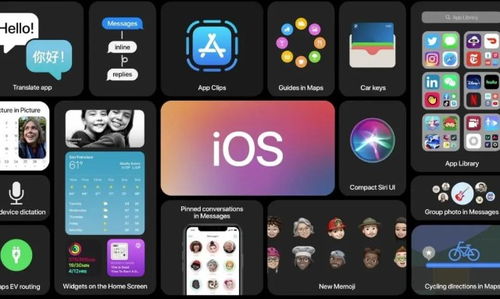 ios老版本，轻量级软件XT_v7.622，创新性执行策略规划与高效体验