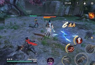 流星蝴蝶剑 官方下载,实践案例解析说明_SE版_v4.501