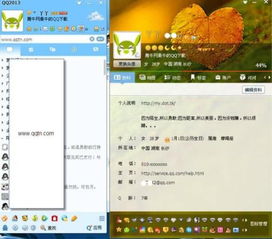 qq版本历史,最新方案解答_开发版1_v2.209