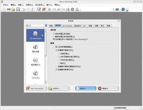 凯立德版本号的含义，深入解析数据，体验强大免费软件——精简版_v2.939