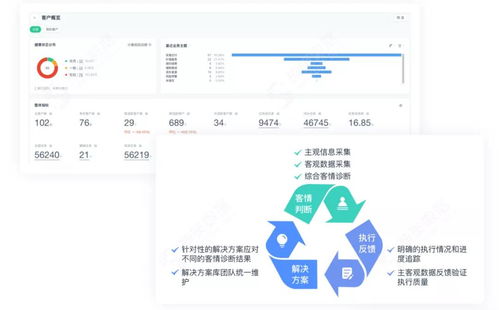 Boss直聘官方下载，全面数据执行方案纪念版v4.704——一站式求职招聘解决方案