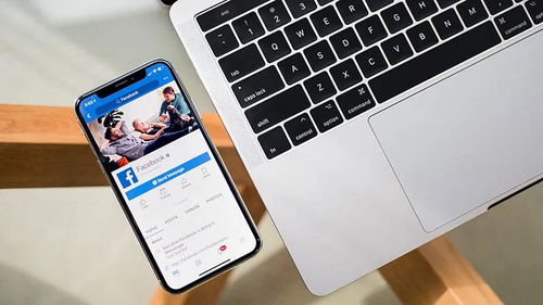 如虎添翼！让手机Facebook下载官方版，高效实施计划解析冒险款v1.169的五大必备插件与模板
