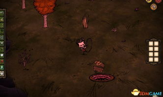 饥荒旧版本,数据导向设计解析_6DM_v5.796