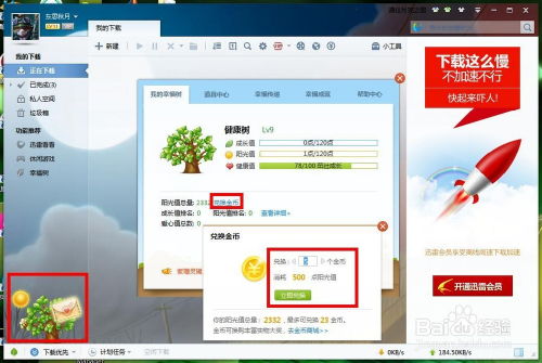 迅雷8.5官方下载,实地验证策略|超值版1_v9.266
