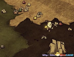 饥荒两个版本,专家解读说明_6DM_v6.269