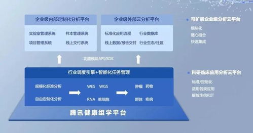 QQ最新国际版本,可靠性策略解析-Z_v1.463