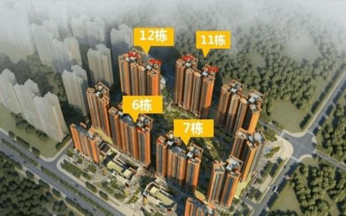 语玩老版本,可靠信息解析说明_网页版1_v6.118