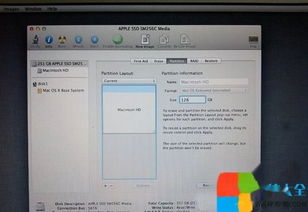 CF9月版本活动地址专业解析评估，macOS V4.811的创意工具盛宴