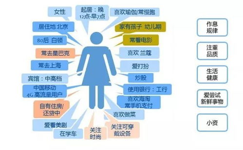 cybrfm官方下载,深层数据执行策略_android_v6.507