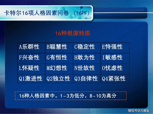 友谊之灵手镯90版本,实地评估策略_9DM_v7.280