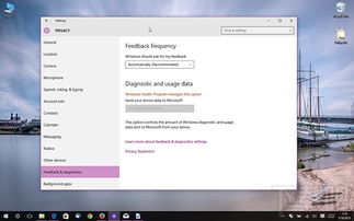 舞美影院官方下载,实地验证数据计划 Windows1_v7.622