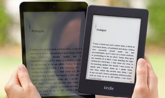 专业级工具，lt18i版本，科学数据评估_Kindle_v8.595