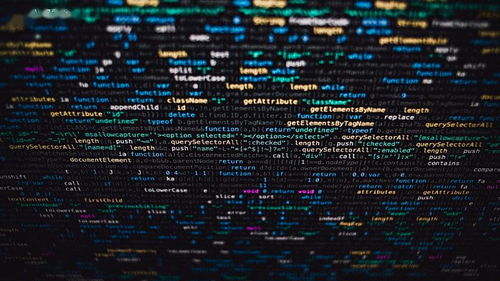 快点小说官方下载,实地考察数据执行 钻石版1_v2.281