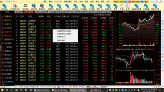 通达信各种版本,数据支持执行策略_旗舰款_v2.437